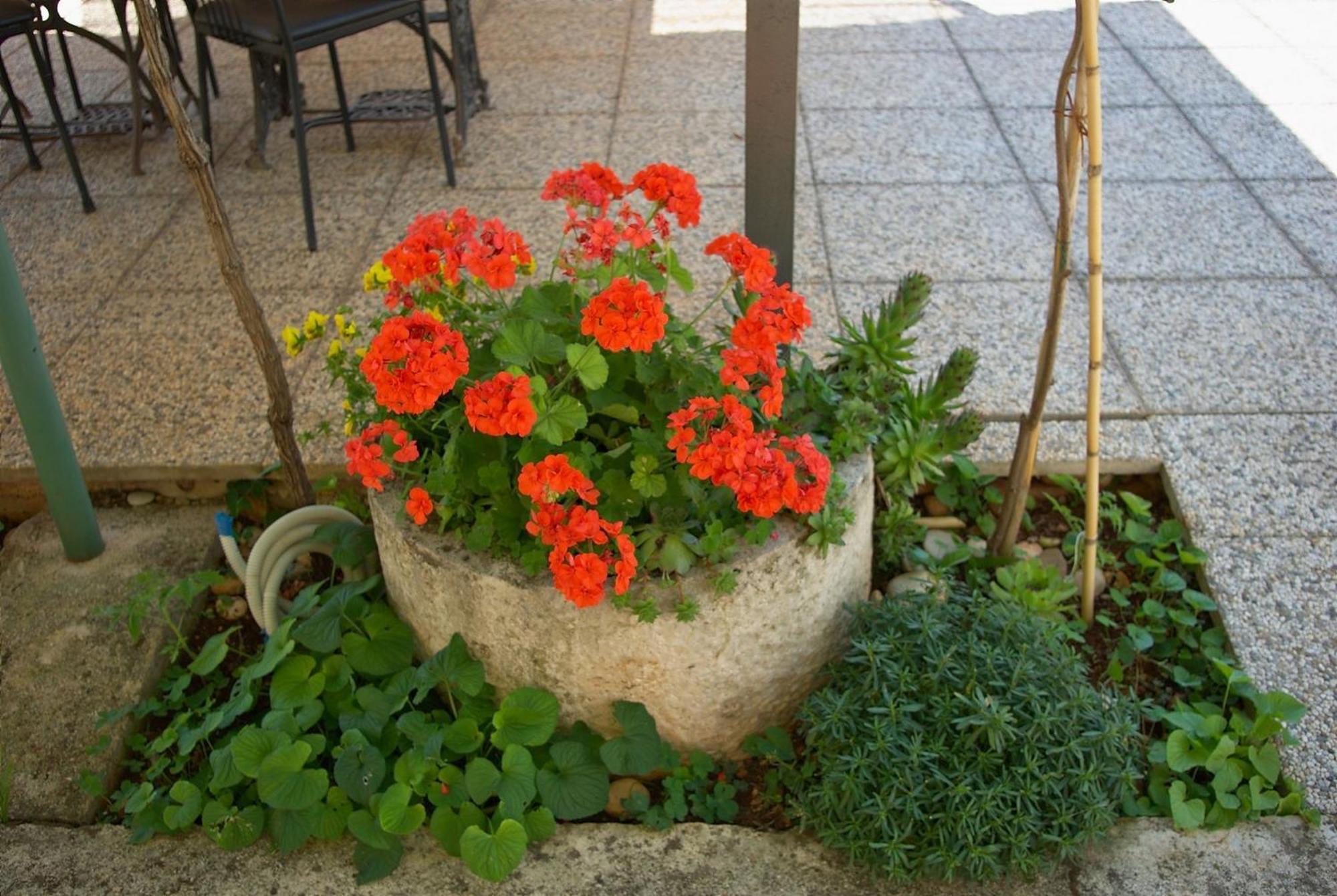Apartments & Rooms Barbara Umag Luaran gambar